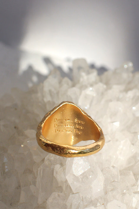 Amelia Ring