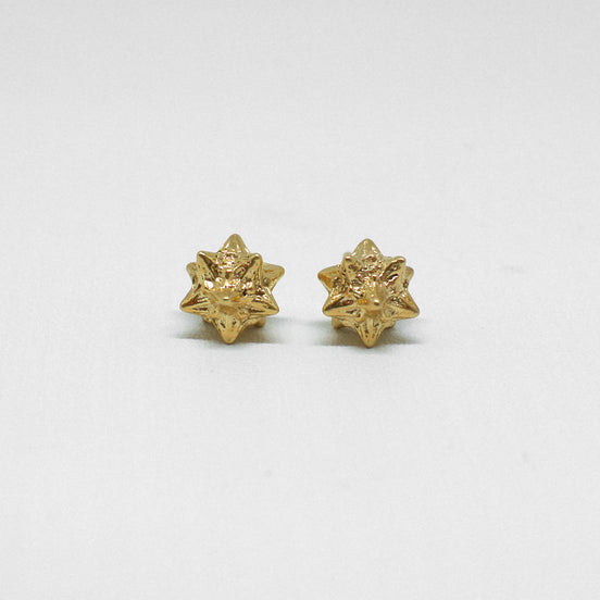 Beta Studs