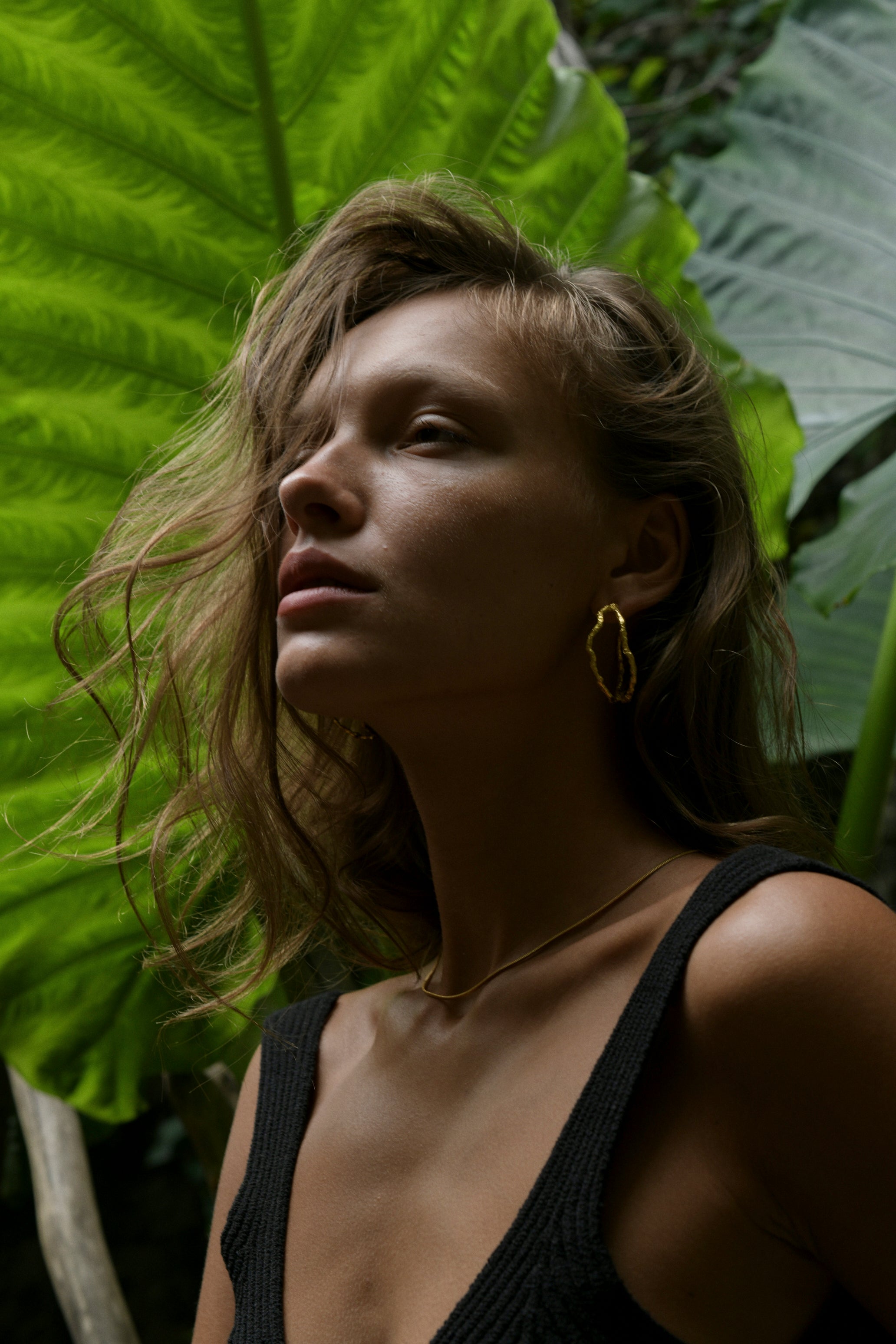 Nerissa Hoops